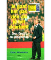 Je gaat het pas zien als je het doorhebt - Pieter Winsemius